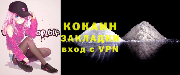 шишки Горнозаводск
