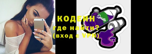 круглые Гусев