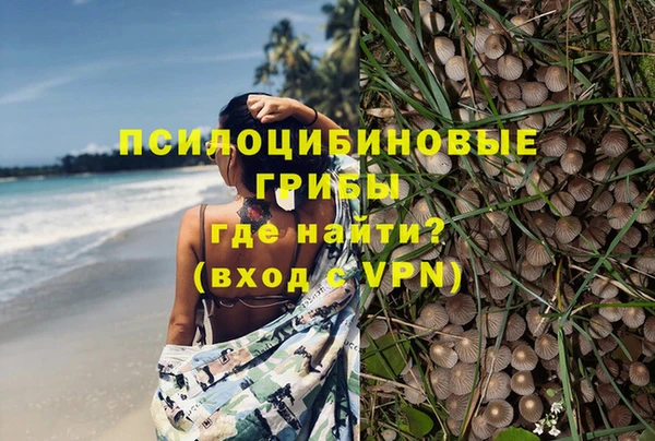 шишки Горнозаводск