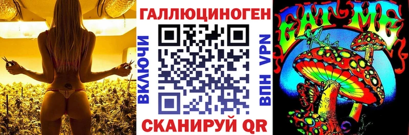 Купить  Купино  Псилоцибиновые грибы MAGIC MUSHROOMS 